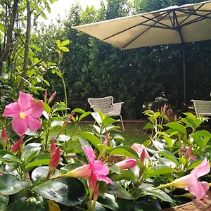 https://bio-bb-vivere-la-vita.it-lombardy.com